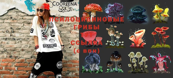 jwh Козельск