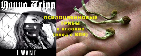 бутират Козловка